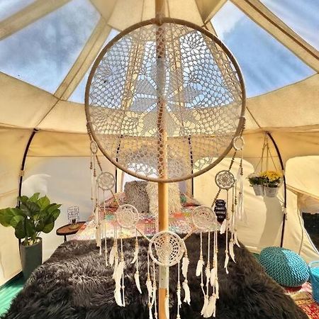 The Pisces-A Stargazing, Luxury Glamping Tent Rogersville Eksteriør bilde