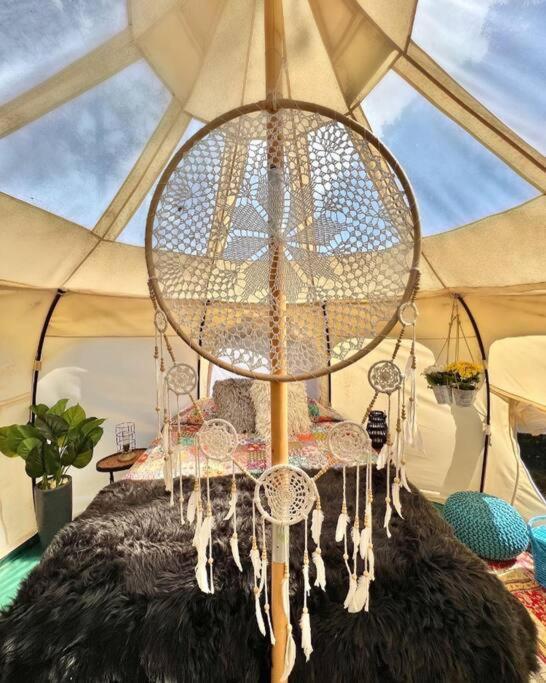 The Pisces-A Stargazing, Luxury Glamping Tent Rogersville Eksteriør bilde