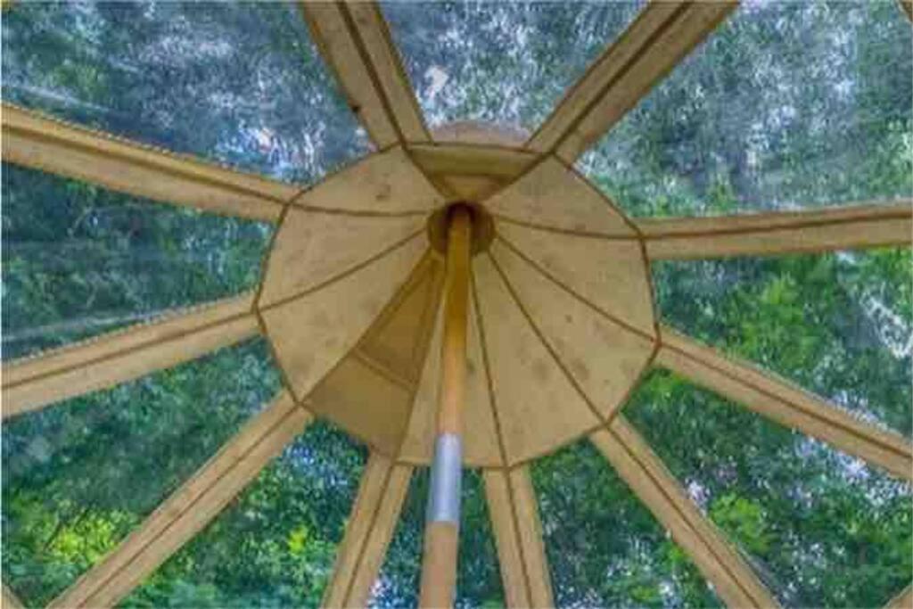The Pisces-A Stargazing, Luxury Glamping Tent Rogersville Eksteriør bilde